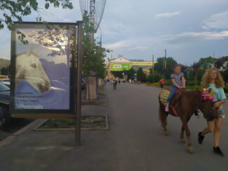 Imgonline com ua Resize tMyBNL2gXyt4