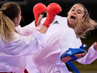 Karate serebro